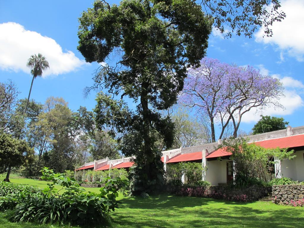 Ngare Sero Mountain Lodge Usa River Quarto foto